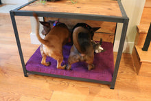 Dog Bed - Workshop-25